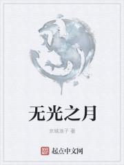 无光之夜