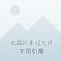 虚拟巨星饲养日记讲了什么
