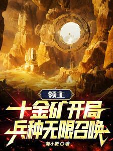 丑丫头
