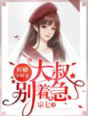 战地摄影师手札八一中文网